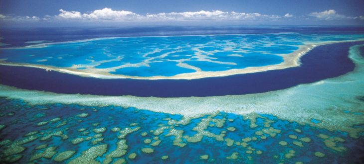 海